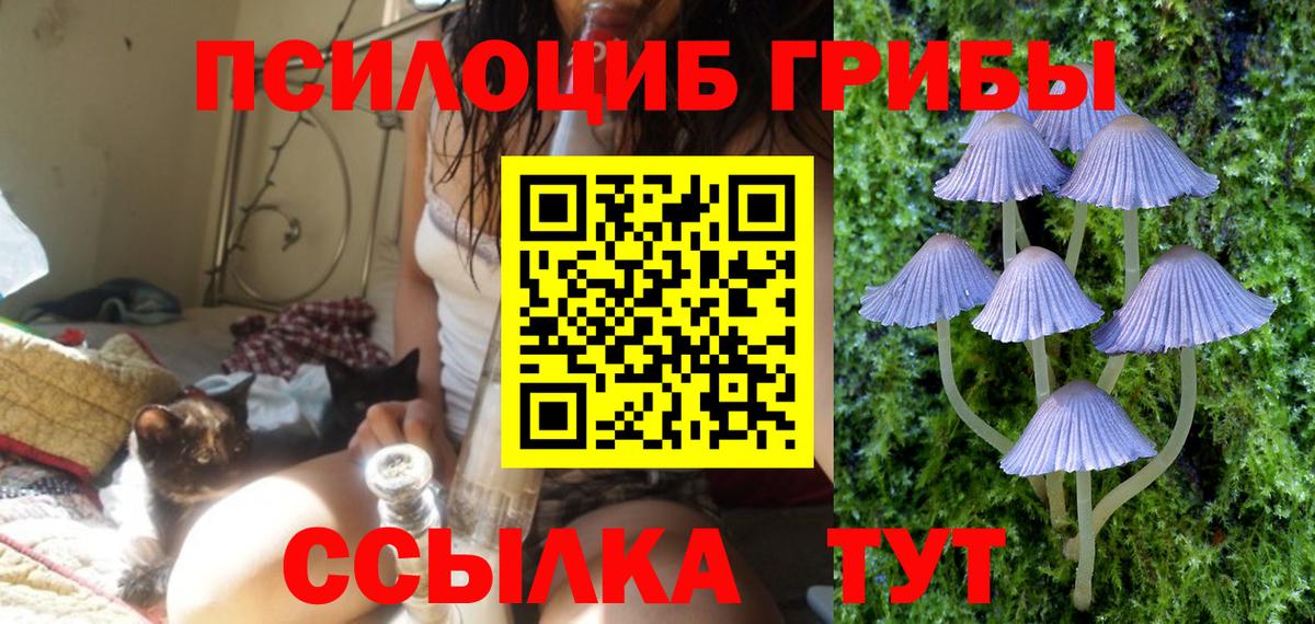 Псилоцибиновые грибы GOLDEN TEACHER  Галлюциногенные грибы мухоморы  Вход с VPN  Кропоткин 